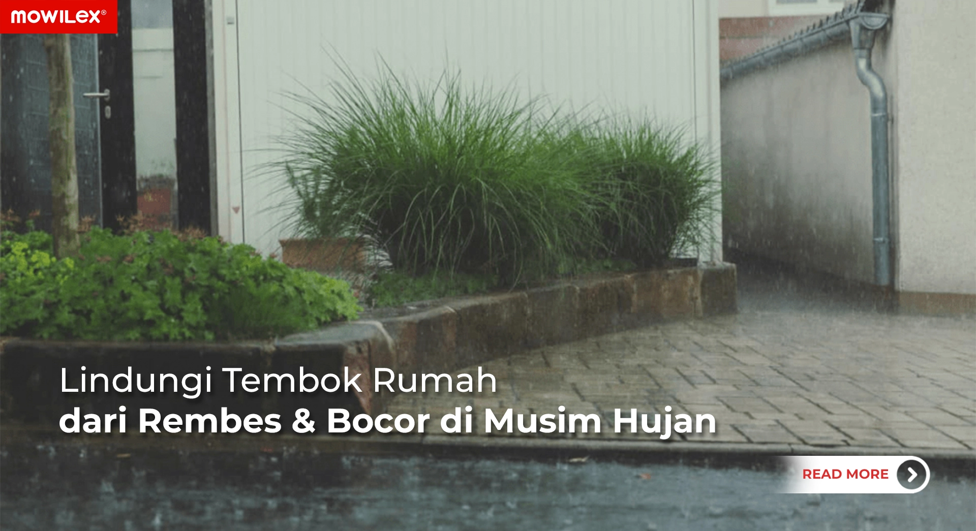 Lindungi rumah dari bocor dengan Mowilex WP02