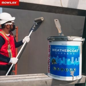menggunakan roll cat
