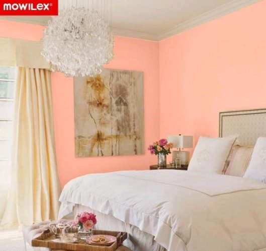 cat kamar warna whisper pink