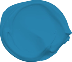 Mowilex Emulsion