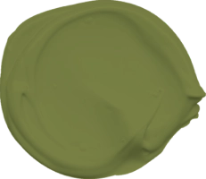 Mowilex Emulsion