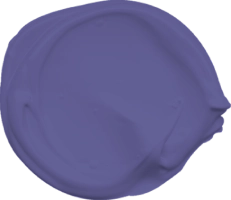 Mowilex Emulsion