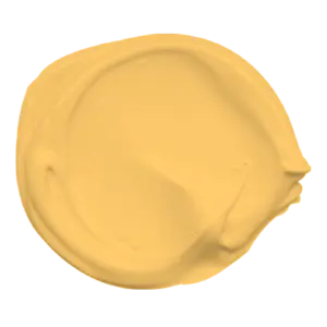 Mowilex Emulsion