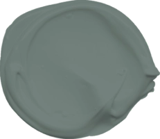 Mowilex Emulsion