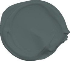 Mowilex Emulsion