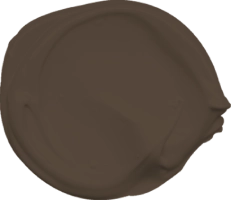 Mowilex Emulsion