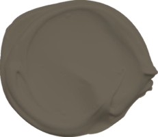 Mowilex Emulsion