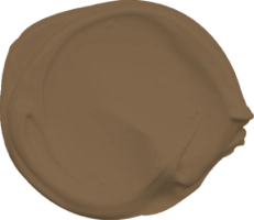 Mowilex Emulsion