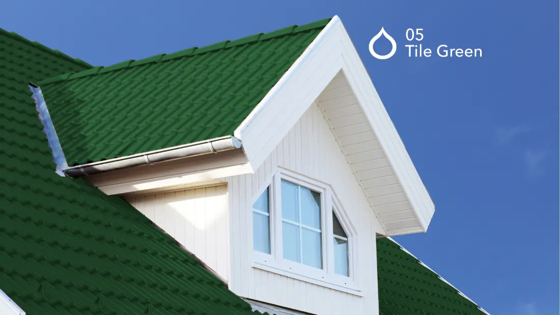 Mowilex Roofpaint