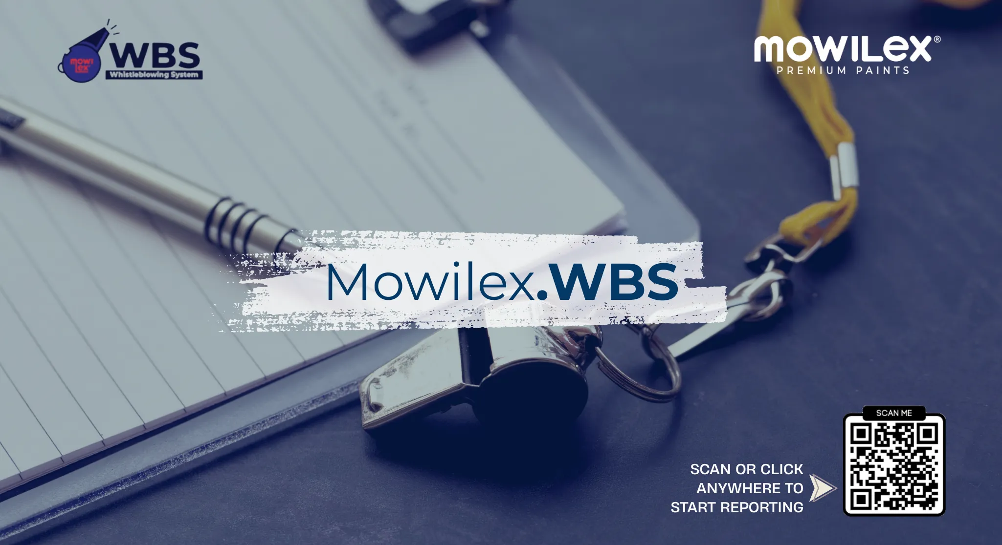 Mowilex Page Report Findings