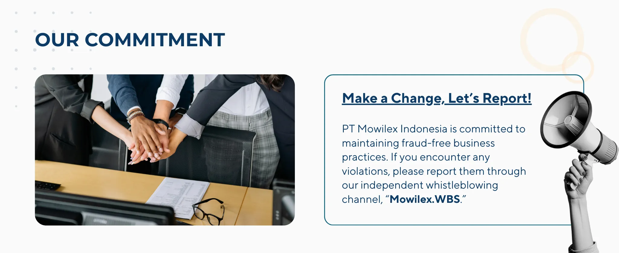 Mowilex Page Report Findings