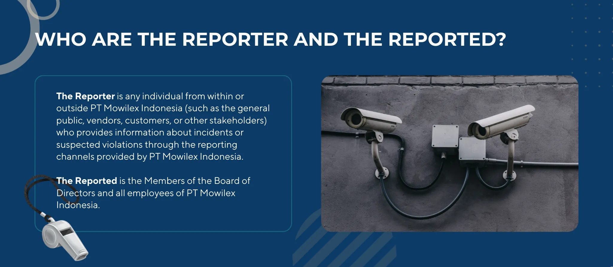 Mowilex Page Report Findings